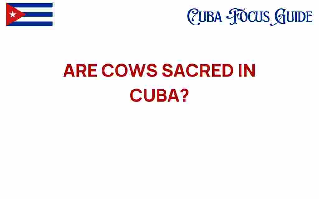 are-cows-sacred-in-cuba