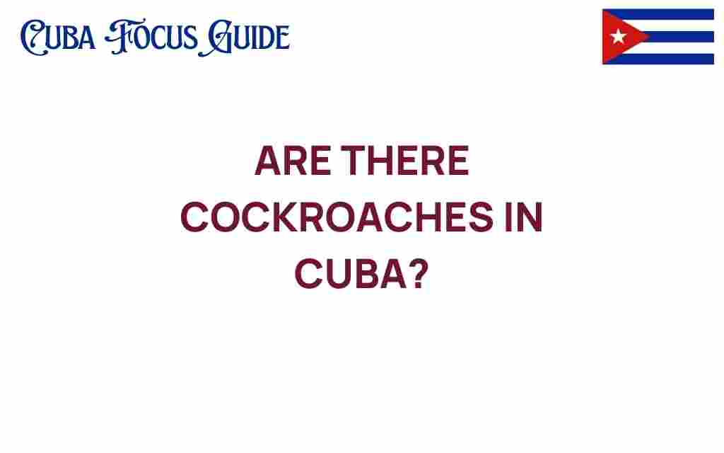 are-there-cockroaches-in-cuba