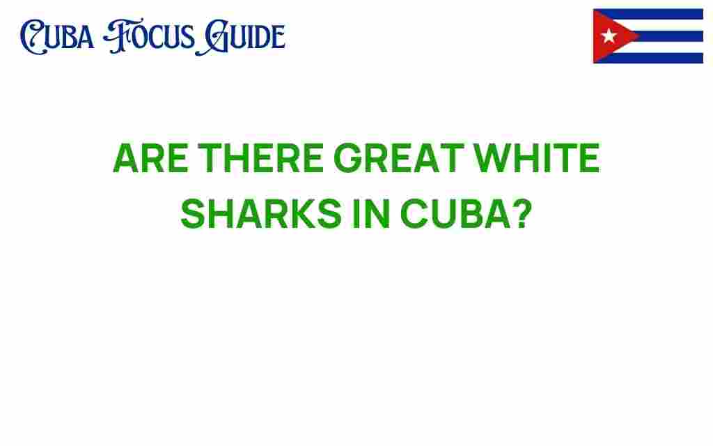 are-there-great-white-sharks-in-cuba