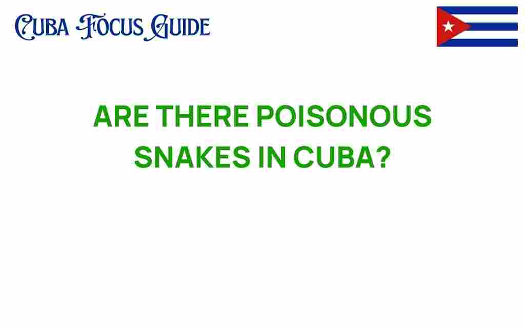 are-there-poisonous-snakes-in-cuba