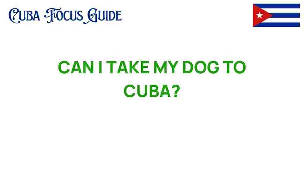 can-i-take-my-dog-to-cuba