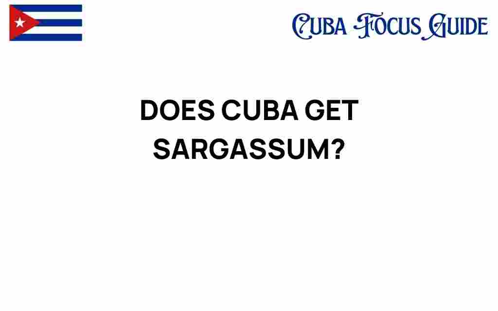 does-cuba-get-sargassum